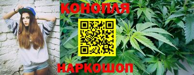 тгк Малгобек