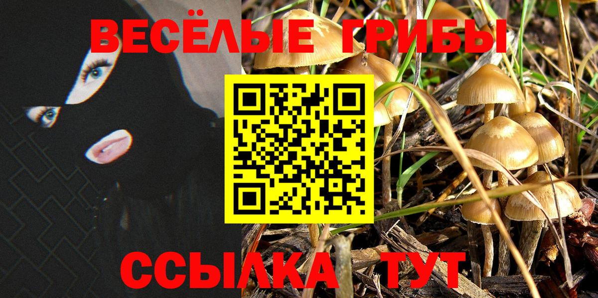 закладка  Псилоцибиновые грибы Cubensis  Псилоцибиновые грибы Magic Shrooms  Вход с VPN  Елабуга 