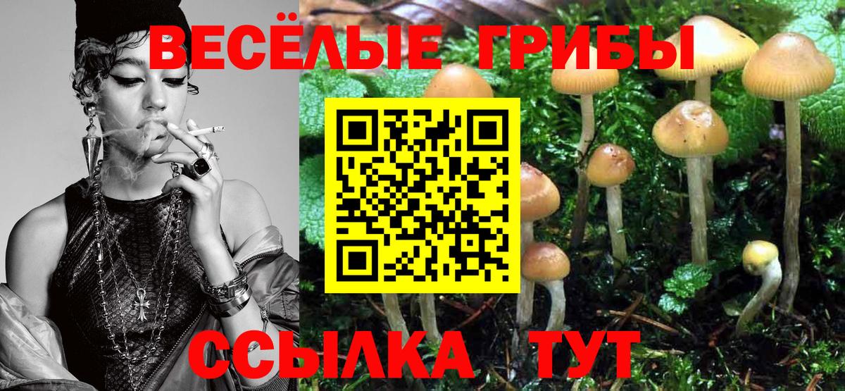 Псилоцибиновые грибы ЛСД Елабуга